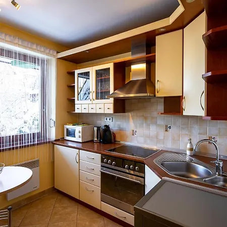 Апартаменты Rodzinny Apartament Z Garazem - Not For Ar-ab! Закопане